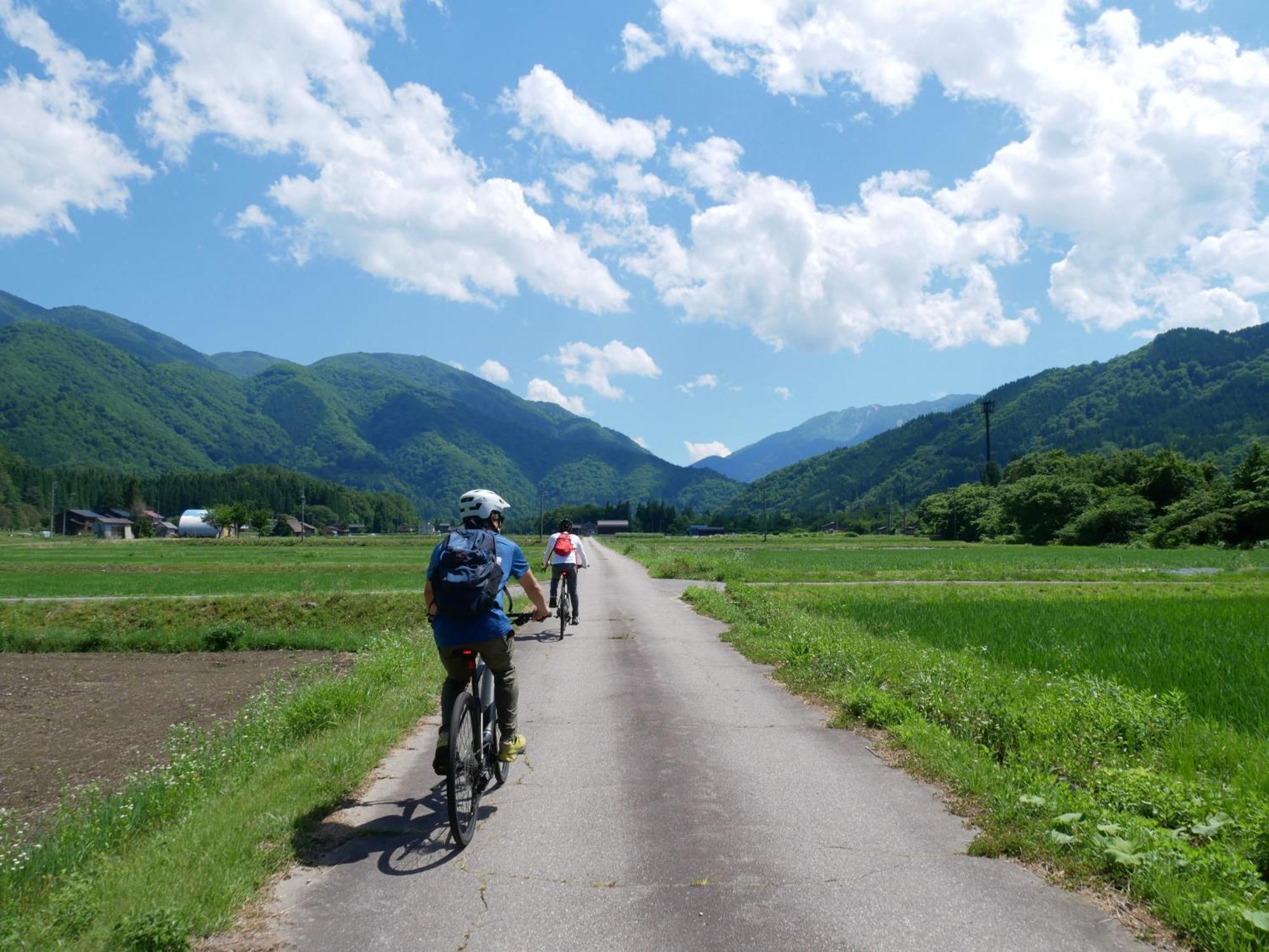 Guesthouse Shirakawa-Go Inn Екстериор снимка